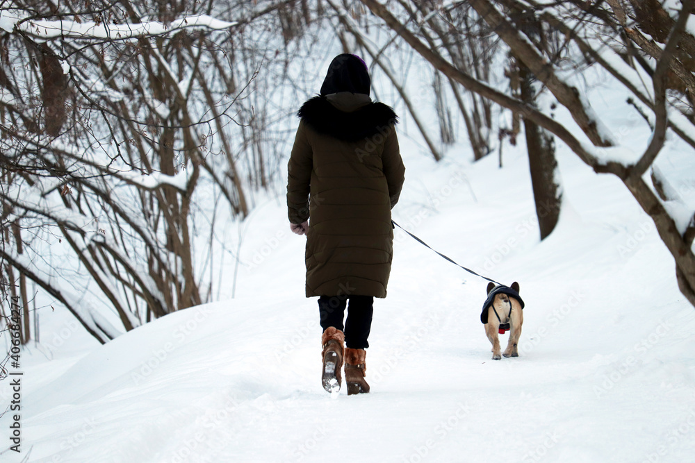 Lonely girl walking a dog in winter park. Concept of cold snow weather, leisure and healthy lifestyle