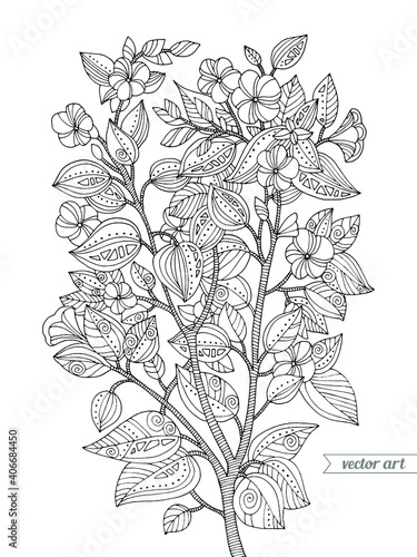 Wallpaper Mural Flower branch isolated. Vector hand drawn artwork. Zentangle. Coloring book page for adult. Black and white. Vintage, retro style. Bohemian ethnic concept Torontodigital.ca