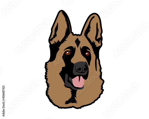 Isolated german shepherd dog on white background. Domestic animal.