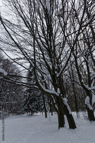 Park Śląski pokryty śniegiem.