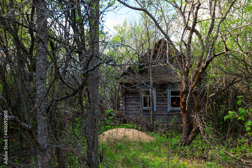 abandoned wooden houses Chernobyl zone © alikosinka1988