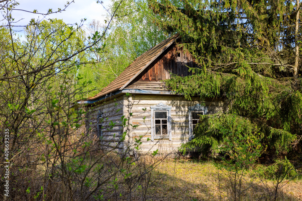 abandoned wooden houses Chernobyl zone