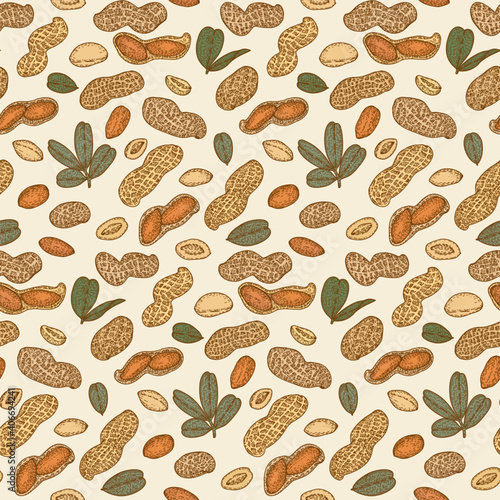 Seamless pattern with Peanut, nuts and leaves. Graphic hand drawn engraving style. Botanical illustration for packaging, menu cards, posters, prints.