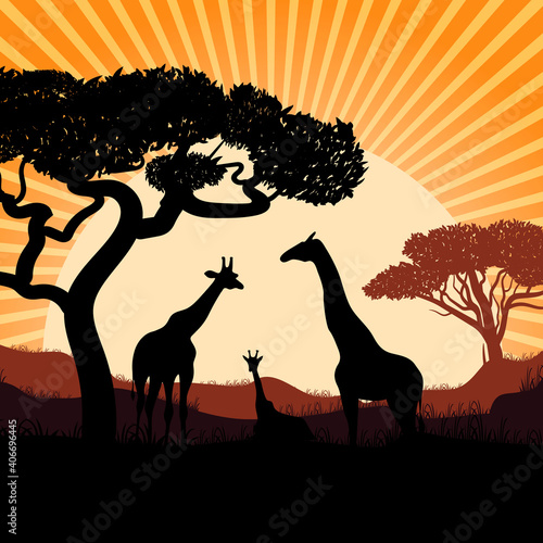 Silhouette of giraffes. Vector colorful illustration. Travel. Sunset.