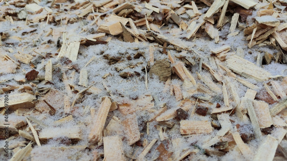 Alternative fuel, ecological fuel, biofuel Wood sawdust, sawdust close-up background. Sawdust texture Alternative fuel, ecological fuel, biofuel Wood sawdust, sawdust close-up background. Sawdust texture