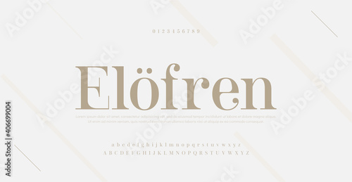 Elegant modern alphabet letters font and number. Classic Lettering Minimal Fashion Designs. Typography serif fonts regular decorative vintage concept. vector illustration