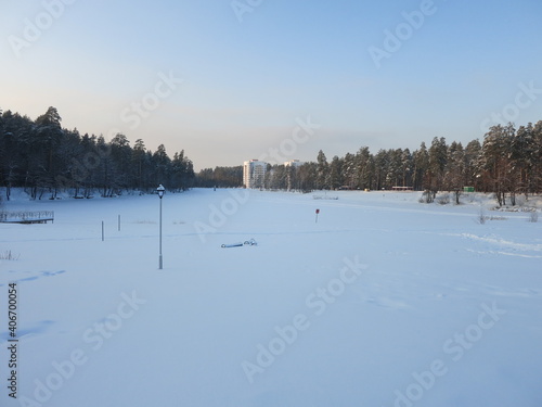 Winter park, snow, pine trees. © Oleg