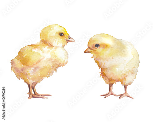 Canvas Print Watercolor chicken baby set