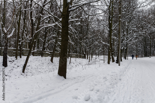 Park Śląski pokryty śniegiem. © Miroslaw