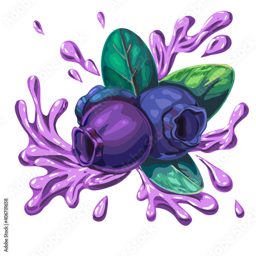 blueberry composition with leaves and yoghurt, milk or juice splashes. purple cocktail, smoothie drops with whortleberry. bilberry flavor illustration. logo, label design template for ad, packaging.