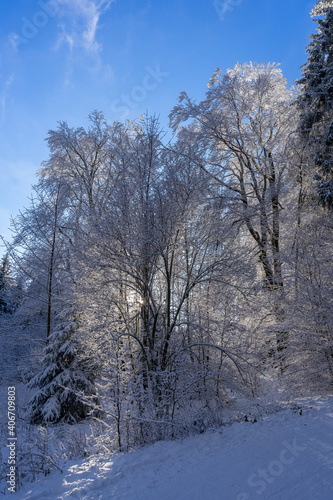 Winterliche Landschaft