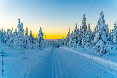 Cross country skiing slope running through a snow covered frozen forest at dusk.