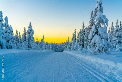 Cross country skiing slope running through a snow covered frozen forest at dusk.