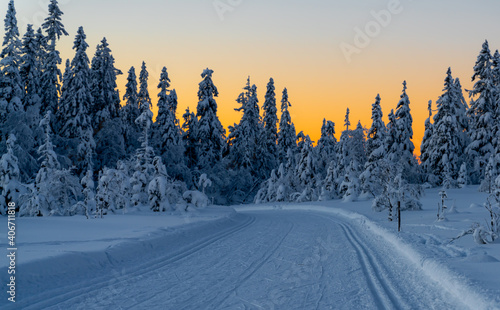 Cross country skiing slope running through a snow covered frozen forest at dusk. © henjon