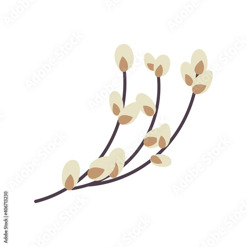  Willow twig isolated on a white background. Easter willow.Flat vector illustration. Design for Easter, packaging