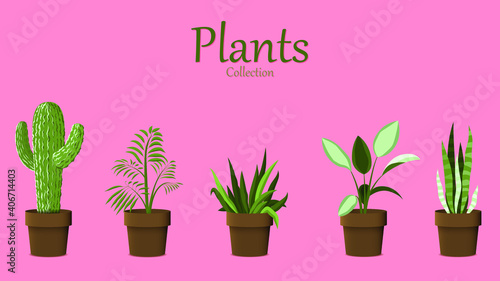 Beautiful set of vector flat Plants