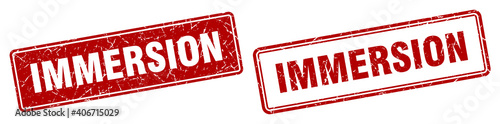 immersion stamp set. immersion square grunge sign