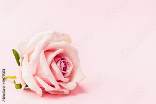 Artificial sweet pink rose ...