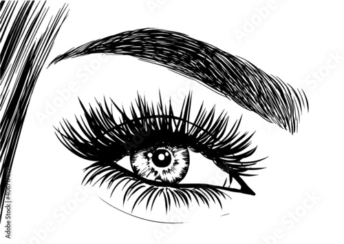 Beautiful eye with eyeliner and false lashes