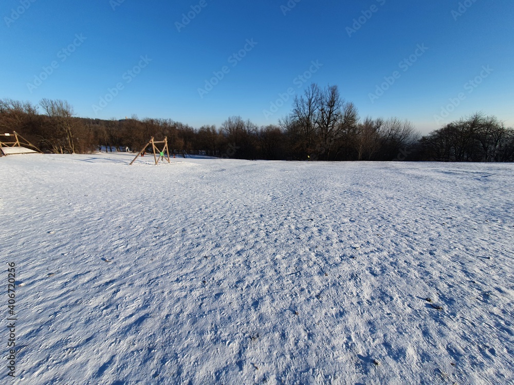 winter landscape with snow