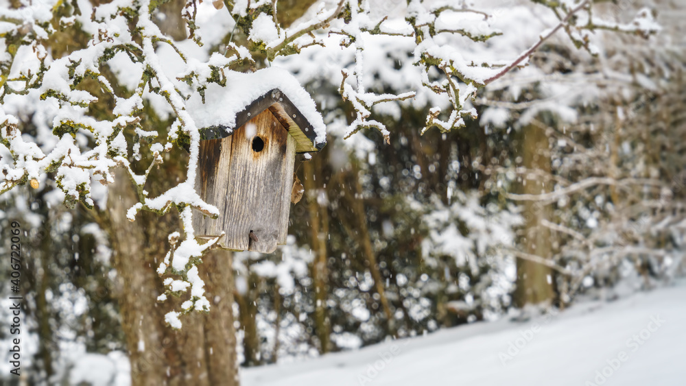 bird house in winter snow