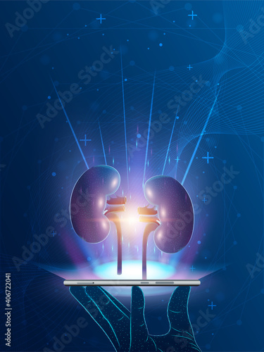 Human kidney and treatment with technology innovation. A concept hospital for wallpaper and web.