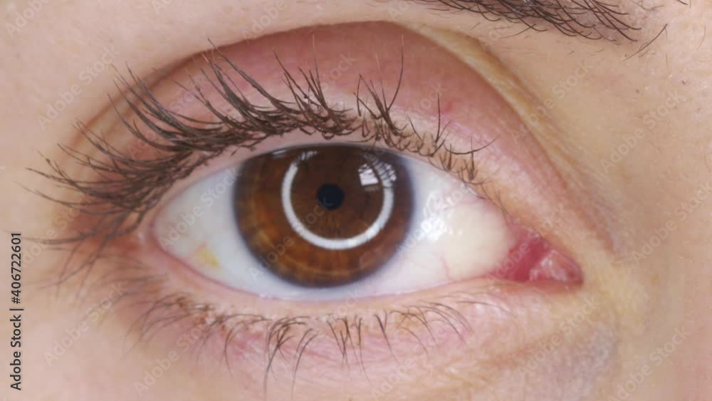 Beautiful human eye close-up. Young Woman brown one eye. Macro Closeup eye blinking and looking. Eyelid, iris, Eyesight concept. Beautiful human eye close-up. Young Woman brown one eye. Macro Closeup eye blinking and looking. Eyelid, iris, Eyesight concept.