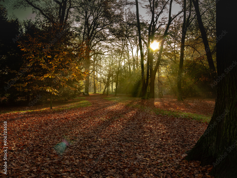 Naklejka premium OLYMPUS DIGITAL CAMERA