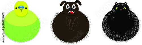 cat, dog and parrot are pets. Vector illustration on white background. Funny round animals, dog showing tongue