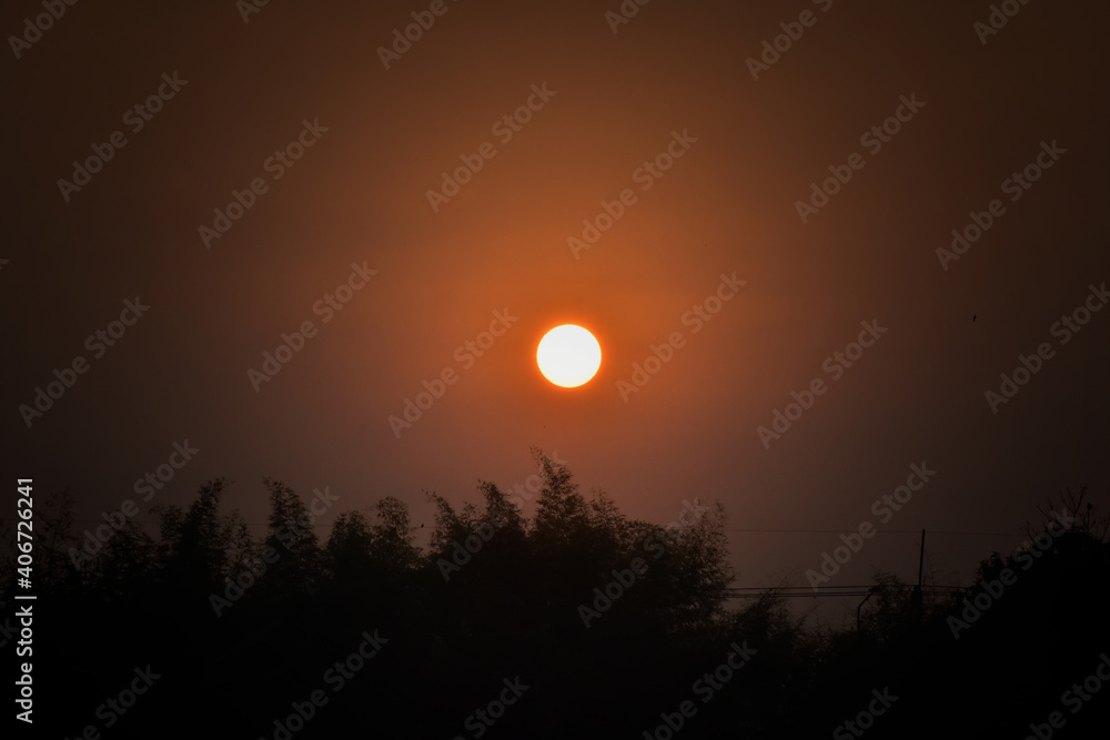 Obraz premium Beautiful orange color of sky from sunrise over tree bush in morning fresh. Start fresh day for new life with back to nature.