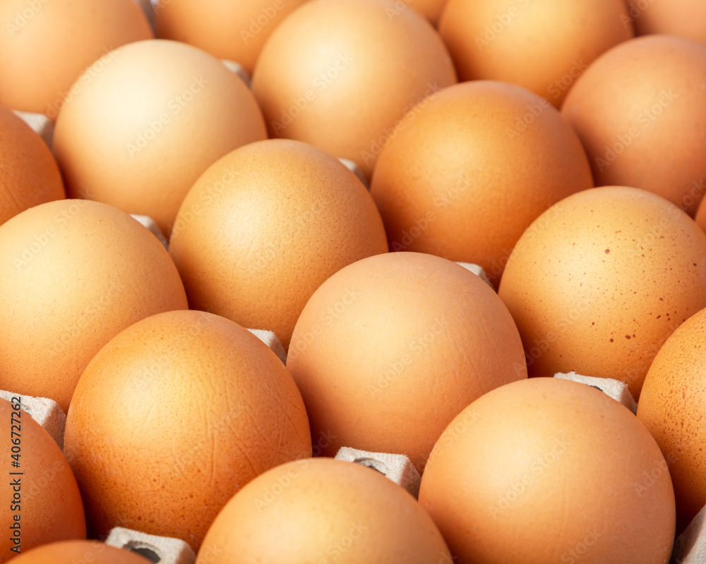 Eggs in the egg panel on cloth background. Eggs in the egg panel on cloth background.