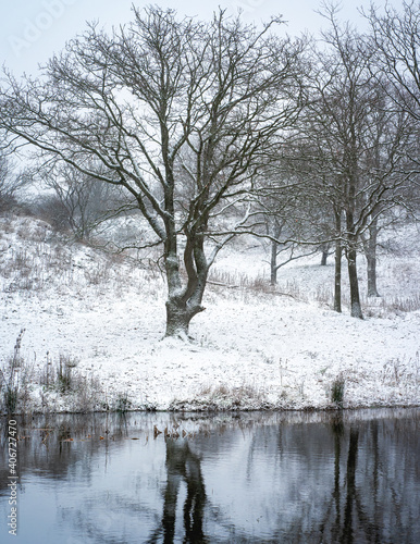 Wallpaper Mural Winter and snow in the dunes of Kijkduin, The Netherlands. Torontodigital.ca