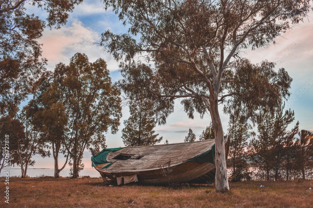 Wooden Boat Wooden Boat