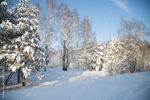 View of the snow-covered forest on a sunny day from the winter road. Horizontal orientation