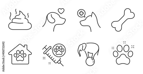 Pet friendly, Dog vaccination and Dog bone line icons set. Pet shelter, Pets care and Feces signs. Veterinary clinic, Elephant on ball symbols. Pets medicine, Shelter, Excrement. Animals set. Vector