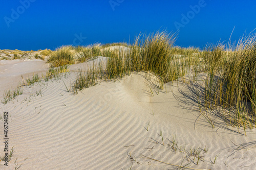 De Hors, Dünenlandschaft auf der Insel Texel, Niederlande