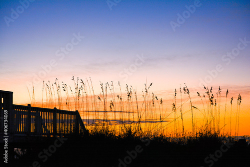Sea oats silhouetted against sunrise sky Garden City Beach, South Carolina, coast