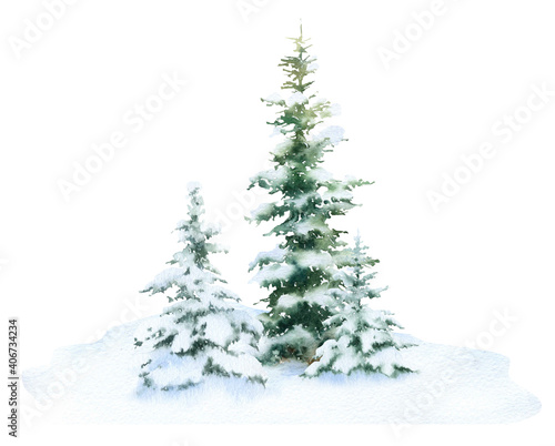 Group of the snow-covered spruces hand drawn in watercolor isolated on a white background. Watercolor winter illustration. Winter landscape. Winter forest.  © Tatiana