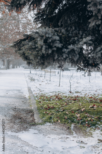 winter in the park
