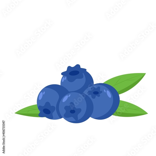 blueberry fruit icon