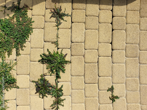small yellow outdoor tiles and sprouted grass, weeds. Top view