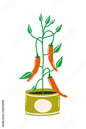 Hot chili pepper plant vector design