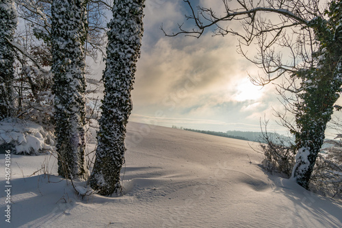 Snowshoe tour at the Gehrenberg near Lake Constance photo