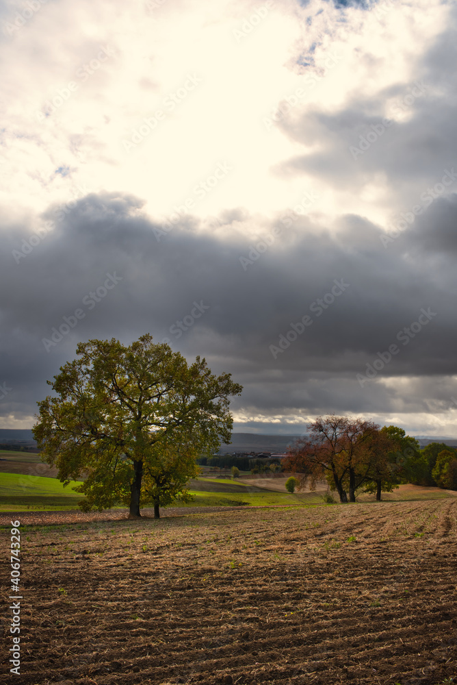 Obraz premium Acker und Stoppelfeld in der Herbstlandschaft