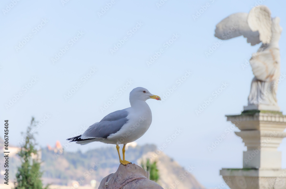 A seagull is sitting on a sculpture near the sea. A seagull is sitting on a sculpture near the sea.