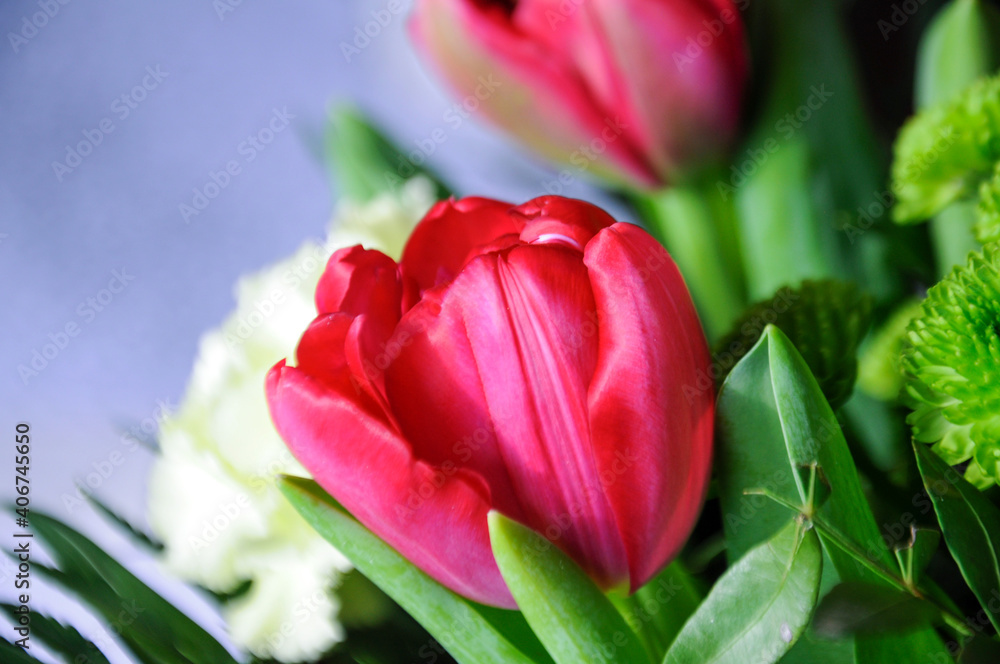 Naklejka premium bouquet of colorful flowers - detail of red tulip