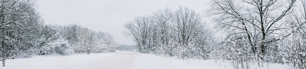 A road in a winter snow-covered forest A road in a winter snow-covered forest