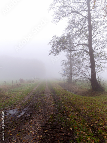 Country road on a foggy day