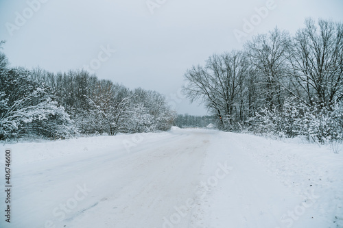 A road in a winter snow-covered forest