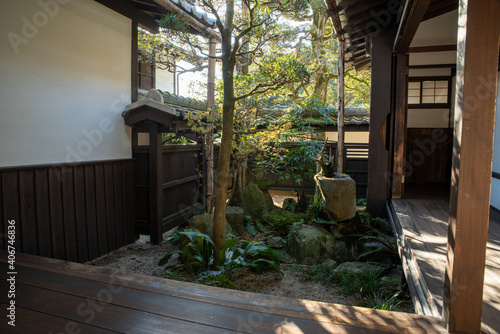 Japanese garden in a traditional house photo